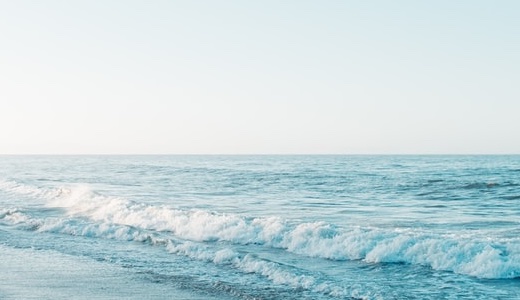 冬にからだを温める郷土料理【中国篇】