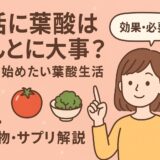 葉酸について