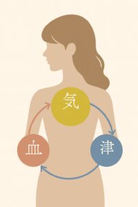 東洋医学の気・血・津の画像
