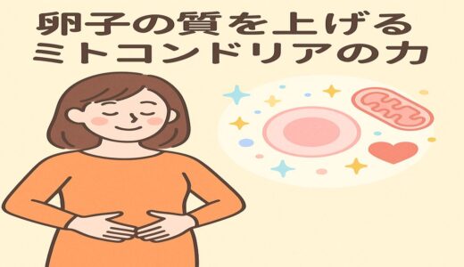卵子の“元気”をつくるのはミトコンドリア！