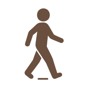 プレコンセプションケアにおける運動のアイコン