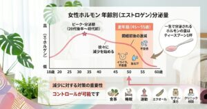 女性ホルモンの分泌量のグラフ