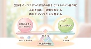 イソフラボンと女性ホルモン