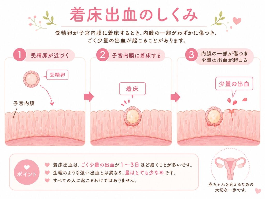 着床出血のメカニズムの画像