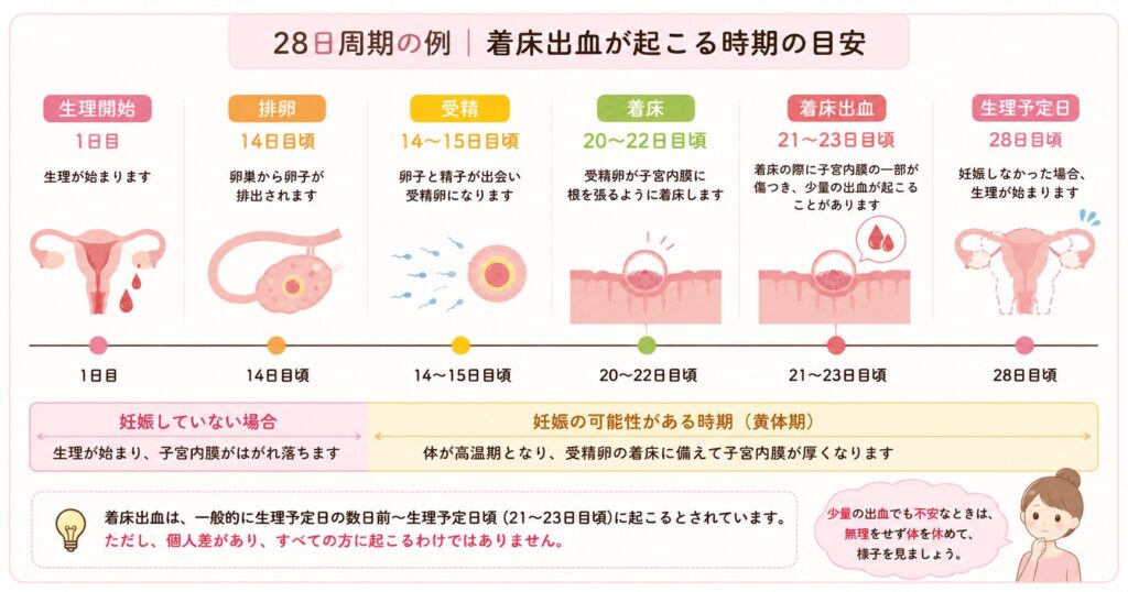 生理から妊娠成立までの流れ(28日周期の場合)の画像