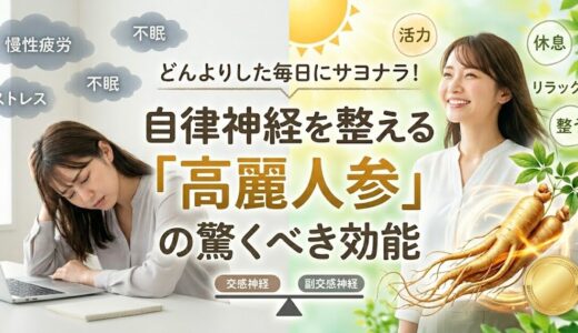 自律神経を整える高麗人参の記事のアイキャッチ