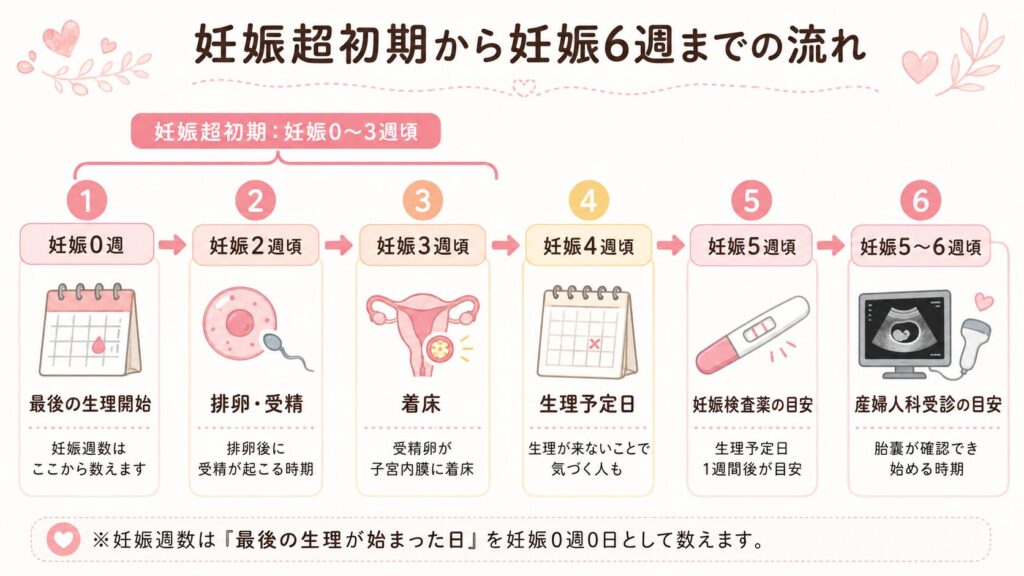 妊娠超初期から6週までの流れの画像