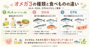 ALA、DHA、EPAの図解画像