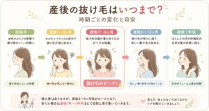 抜け毛のタイムライン説明画像